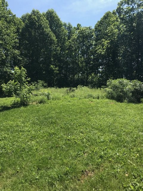 12399 Anderson Road French Lick, IN 47432 - Photo 7 of 17