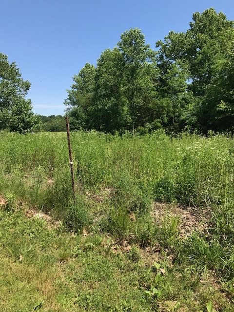 12399 Anderson Road French Lick, IN 47432 - Photo 8 of 17