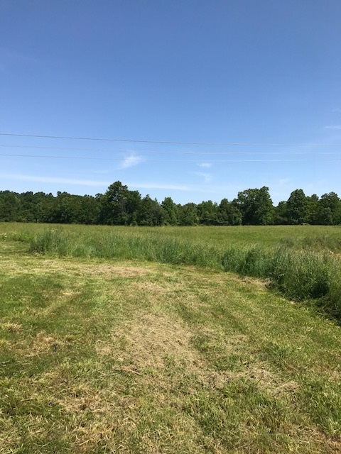 12399 Anderson Road French Lick, IN 47432 - Photo 10 of 17