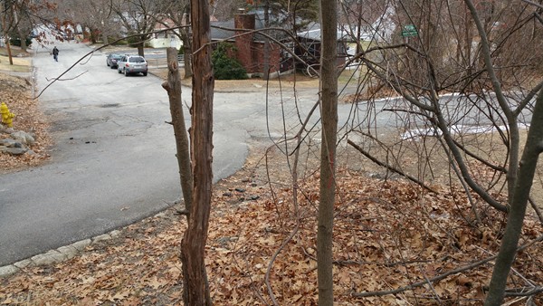 50 Winneconnett Road Worcester, MA 01605 - Photo 3 of 3 Gallery Image 3