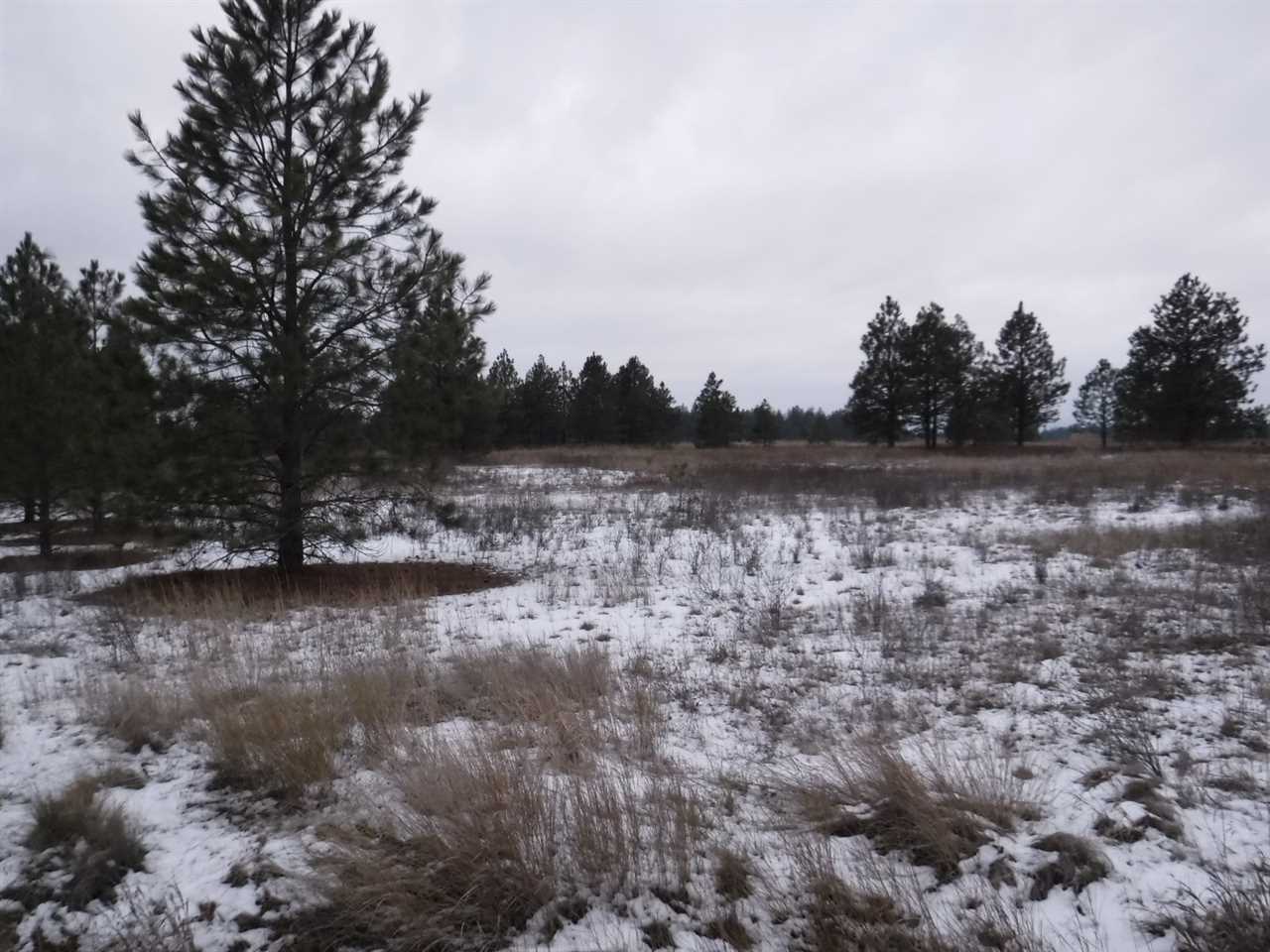 30625 North Short Road Deer Park, WA 99006 - Photo 2 of 4 Gallery Image 2