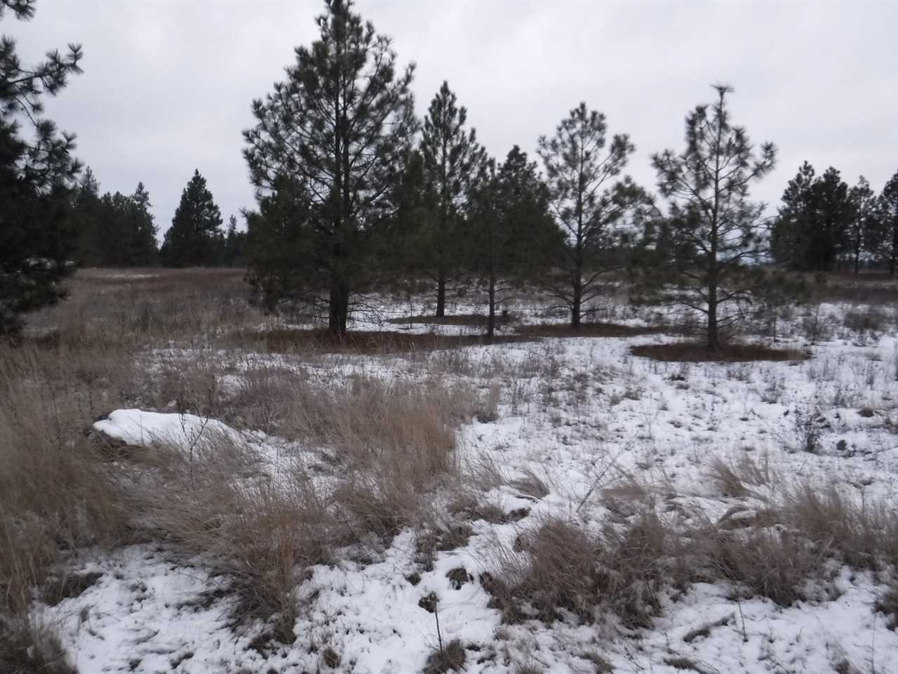 30625 North Short Road Deer Park, WA 99006 - Photo 3 of 4 Gallery Image 3