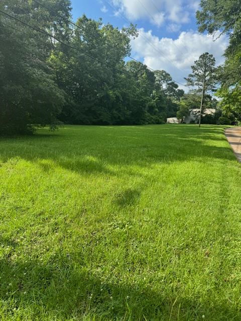 196 Lower Woodville Road Natchez, MS 39120 - Photo 1 of 7 Main View