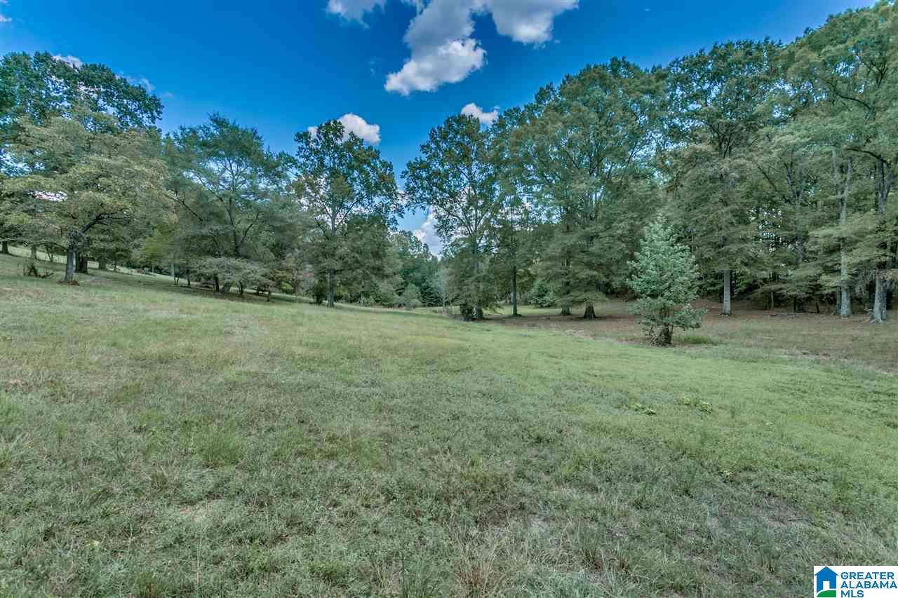 184 Jenkins Farm Road Helena, AL 35080 - Photo 11 of 25