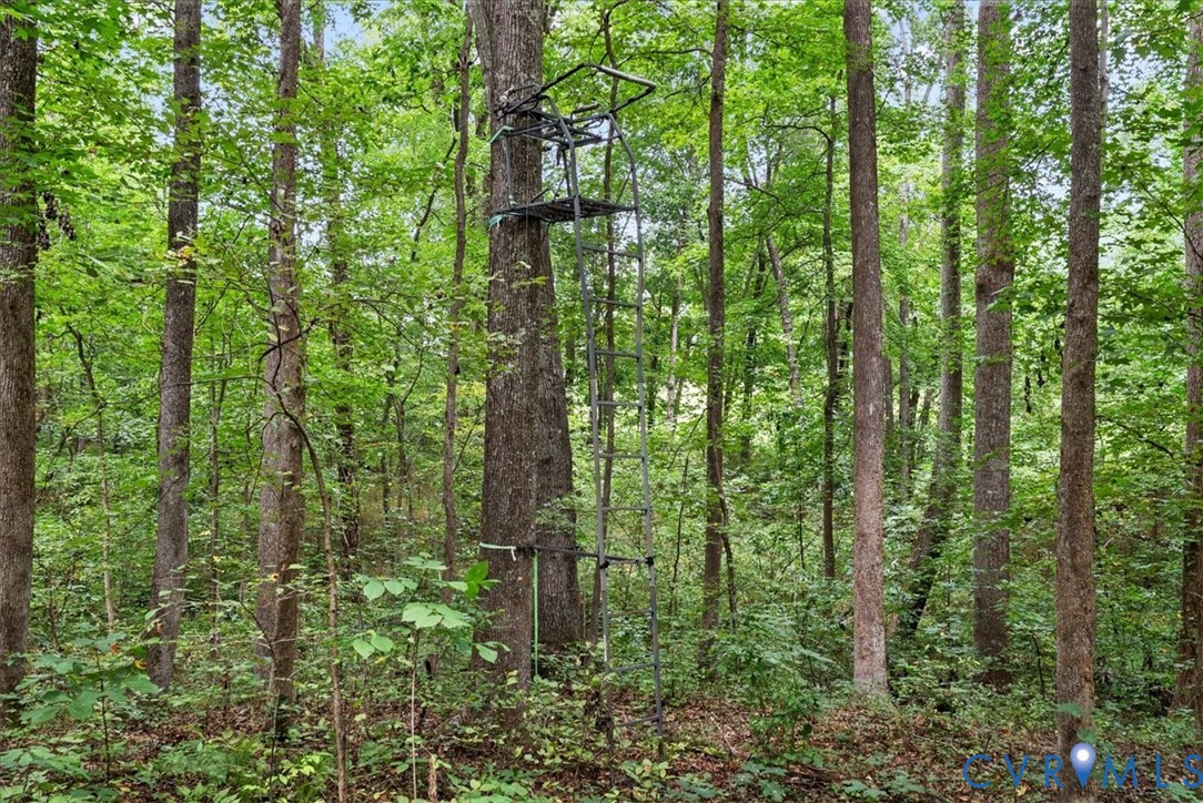 610 Lockett Road Rice, VA 23966 - Photo 62 of 79 Gallery Image 62