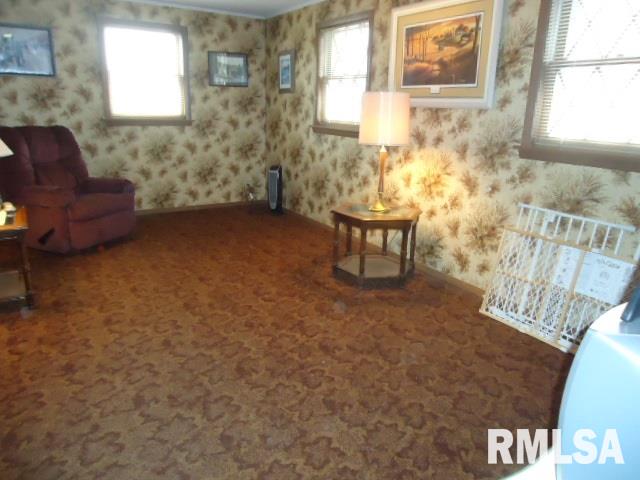 8916 Ridgewood Road Rock Island, IL 61201 - Photo 14 of 22