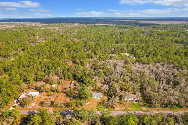 a view of a green field with lots of bushes