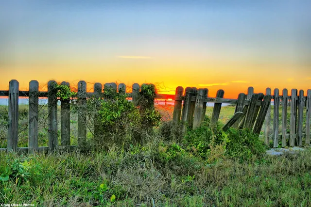 a view of a forest from a balcony