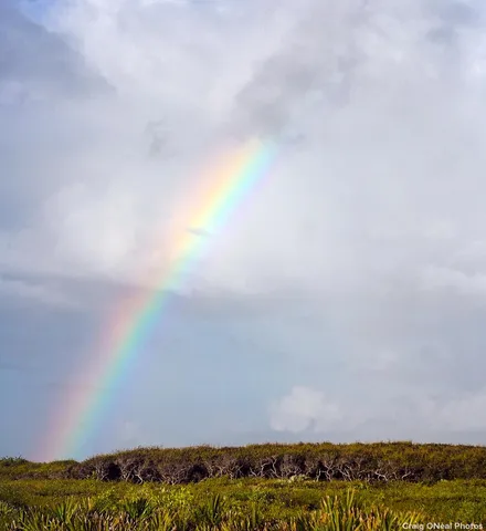 $195,000 | 10440 Erickson Avenue, Hastings, FL 32145