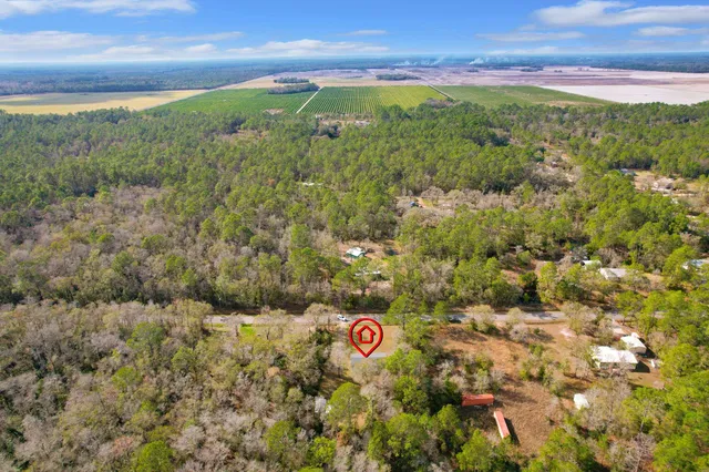 a view of a field with an ocean