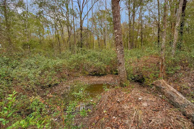 a view of backyard with green space