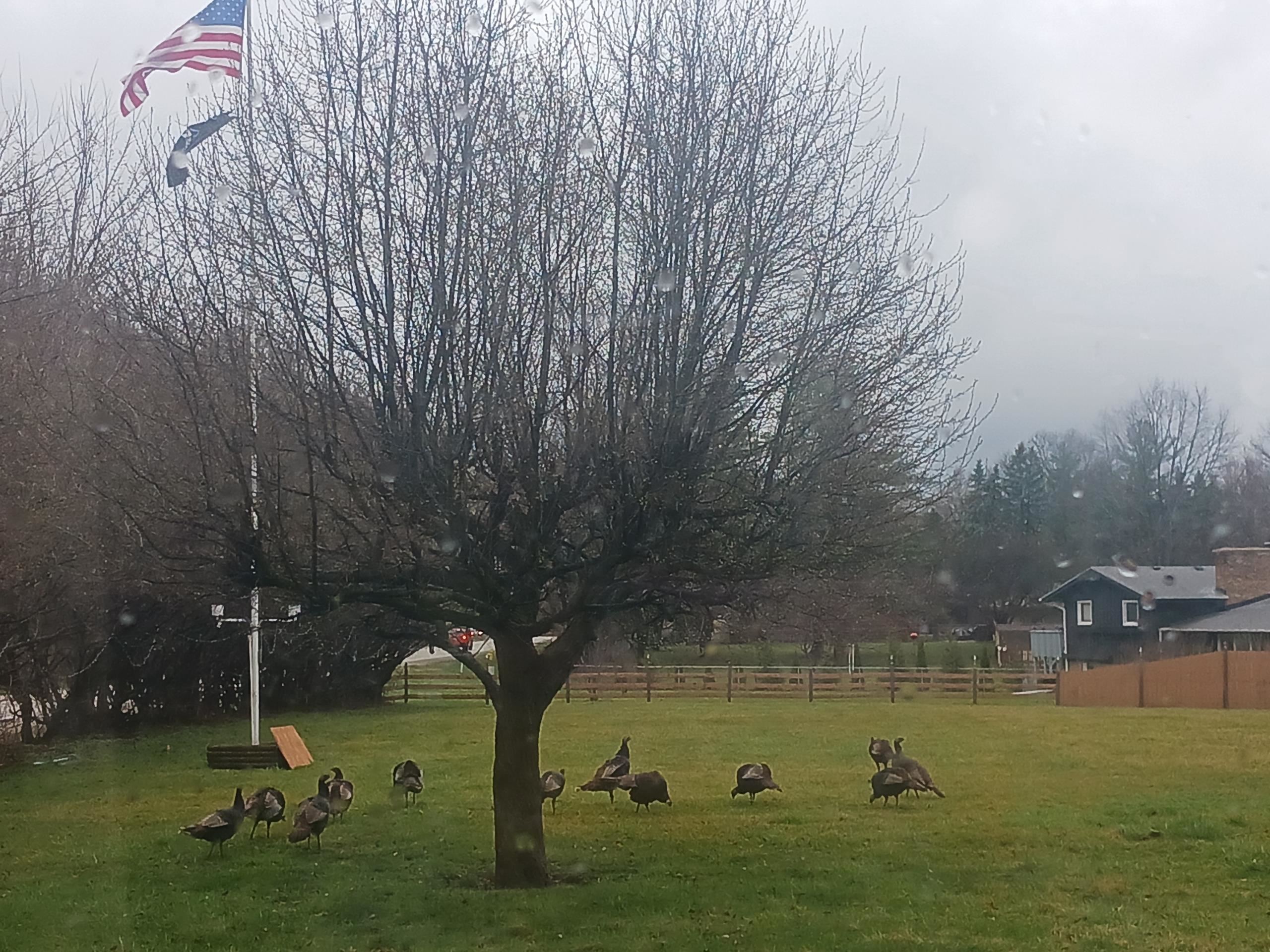 4738 Owen Center Road Rockford, IL 61101 - Photo 29 of 42 a view of lake view