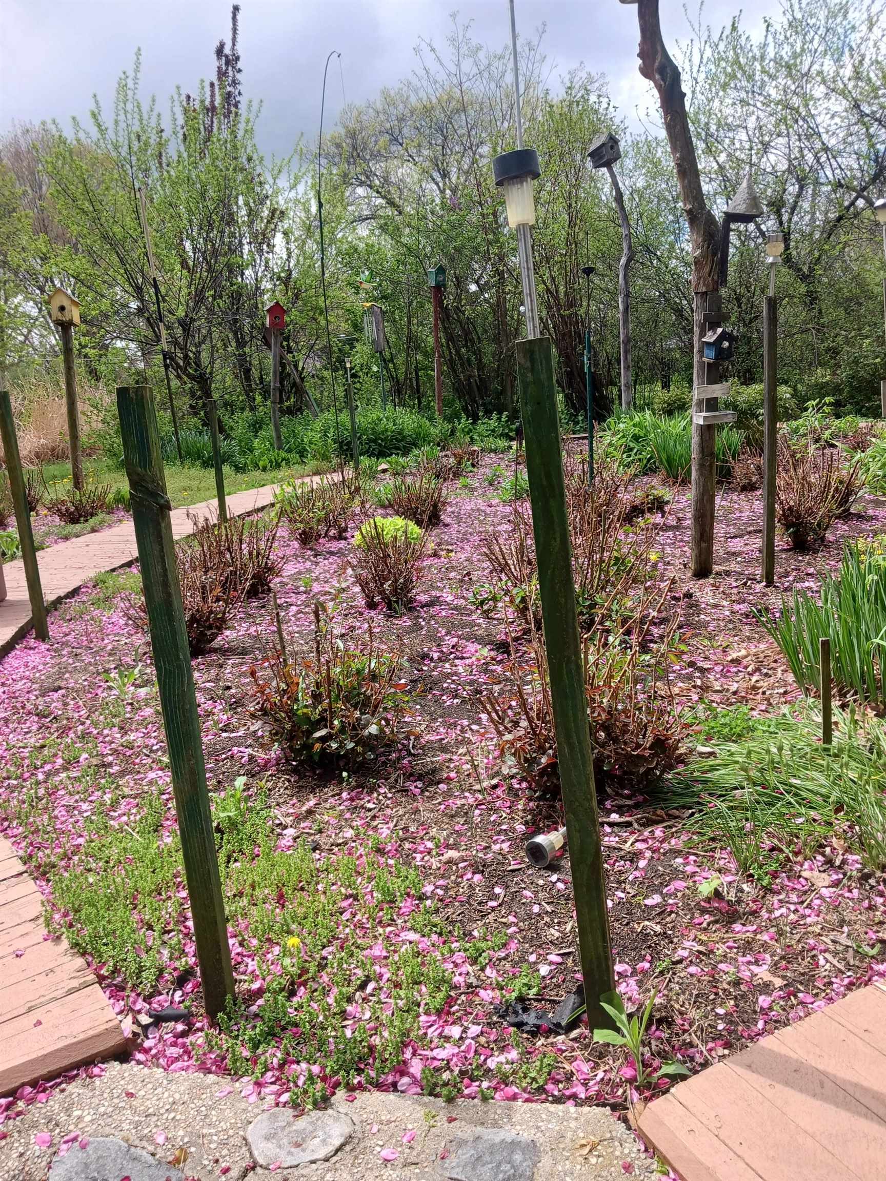 4738 Owen Center Road Rockford, IL 61101 - Photo 32 of 42 a view of a park with large trees