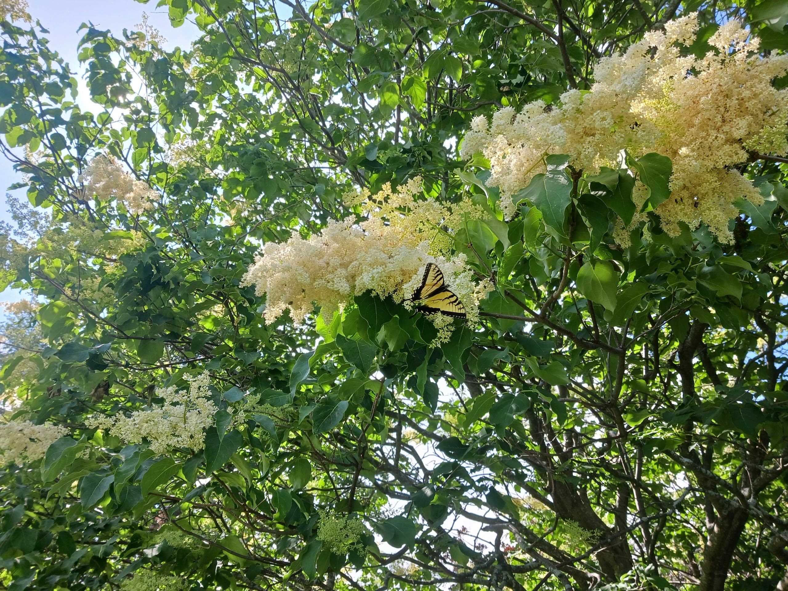 4738 Owen Center Road Rockford, IL 61101 - Photo 33 of 42 a backyard of a house