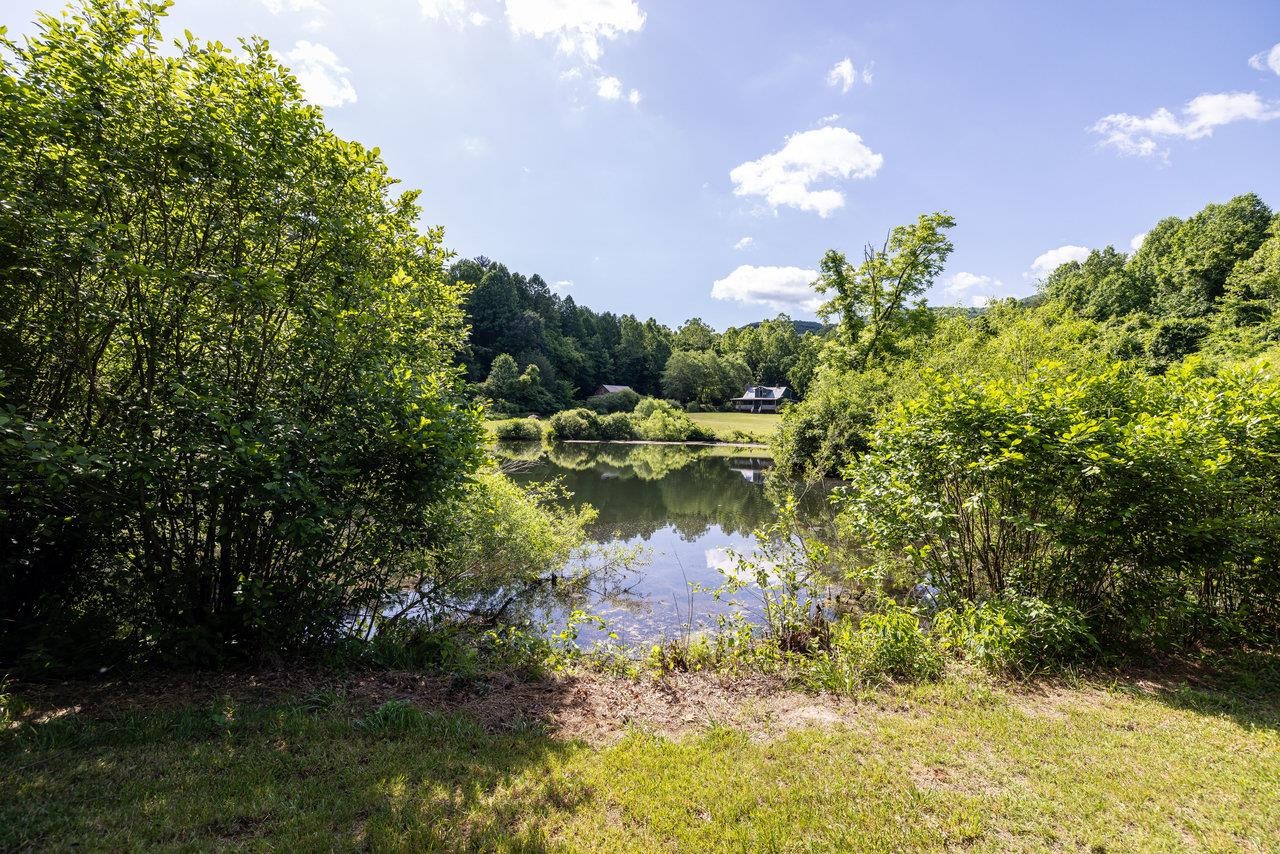3072 Pine Grove Road Stanley, VA 22851 - Photo 59 of 75 Gallery Image 59