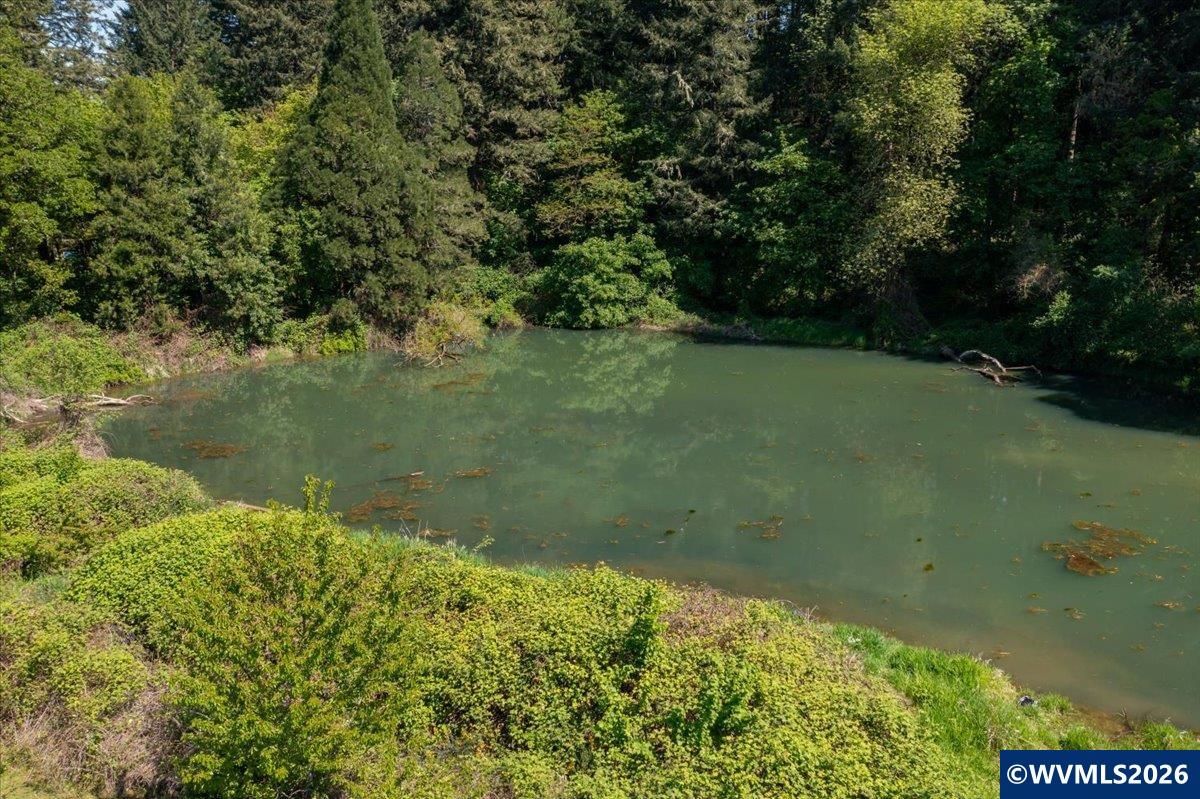 201560 Orchard Tract Road Monroe, OR 97456 - Photo 7 of 23