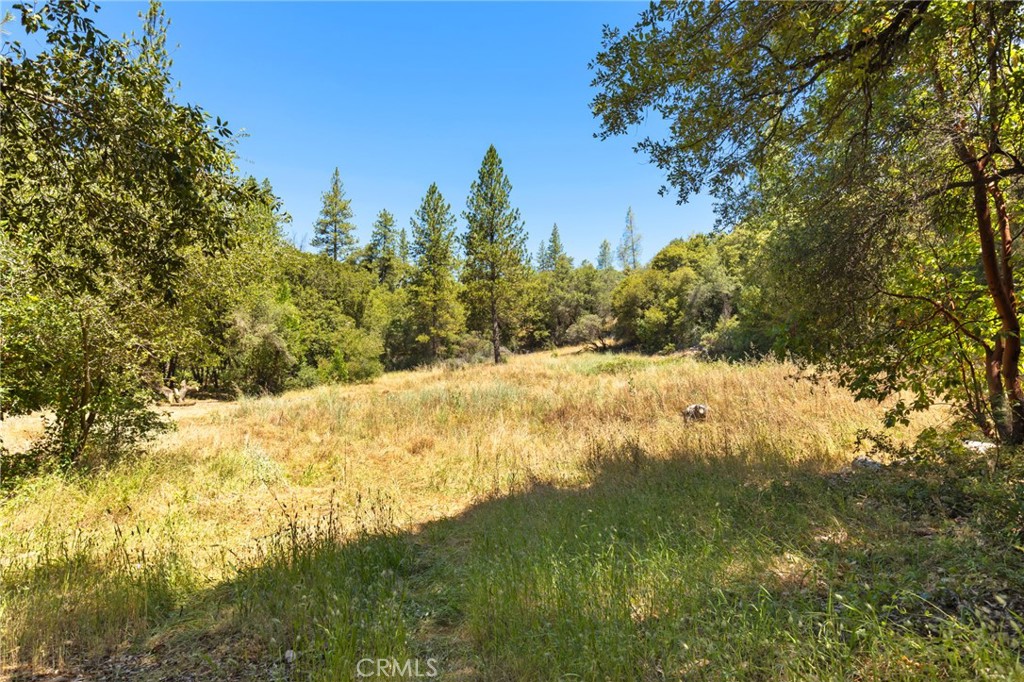 7859 Reed Lane Rackerby, CA 95972 - Photo 13 of 22