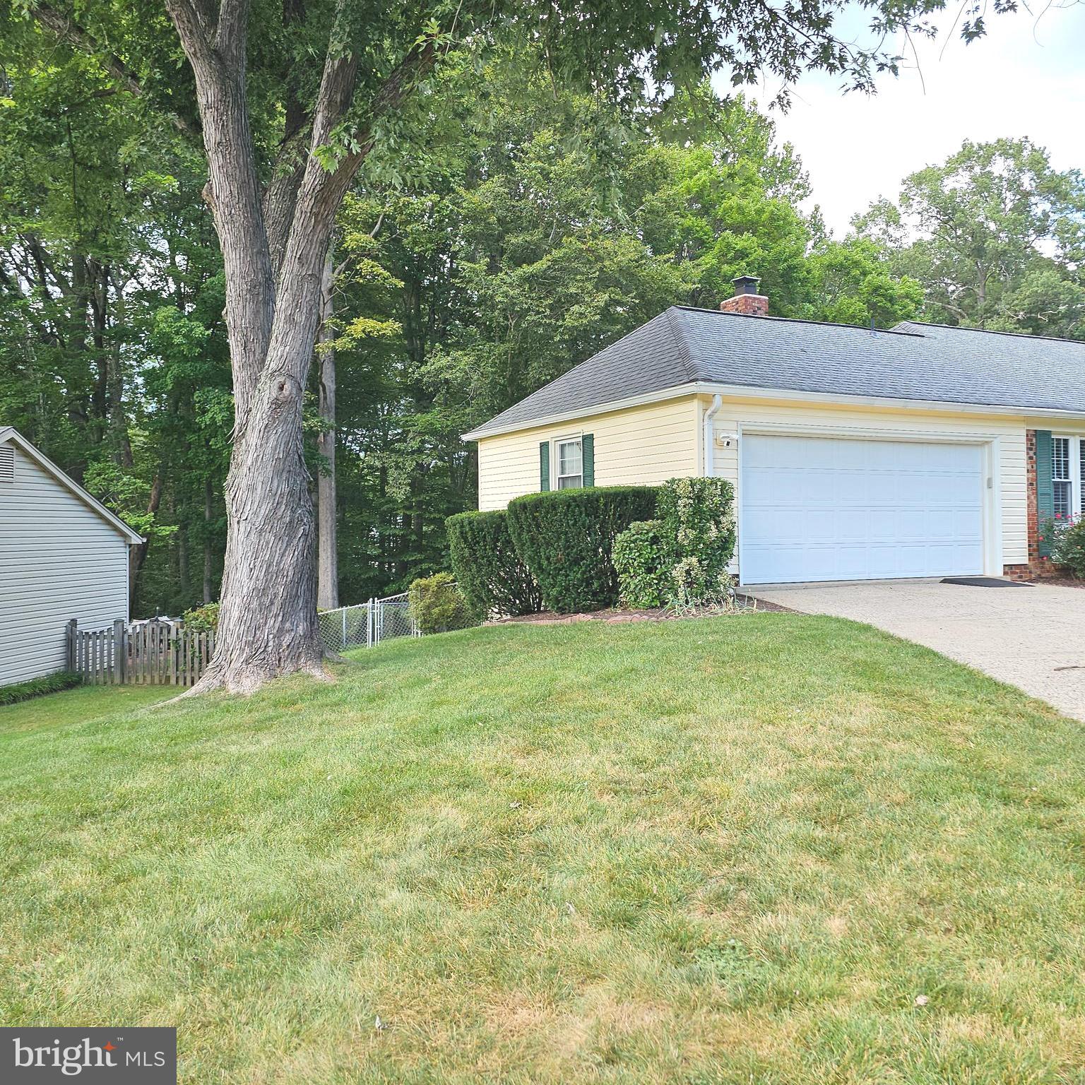 7777 Turlock Road Springfield, VA 22153 - Photo 43 of 43 a view of a backyard with a large tree