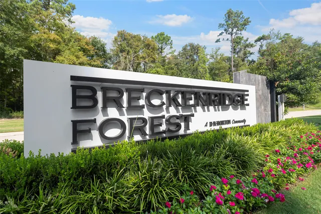 a view of a wooden bench under a large tree