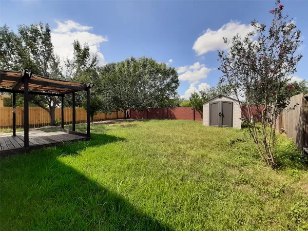 a view of backyard with tree