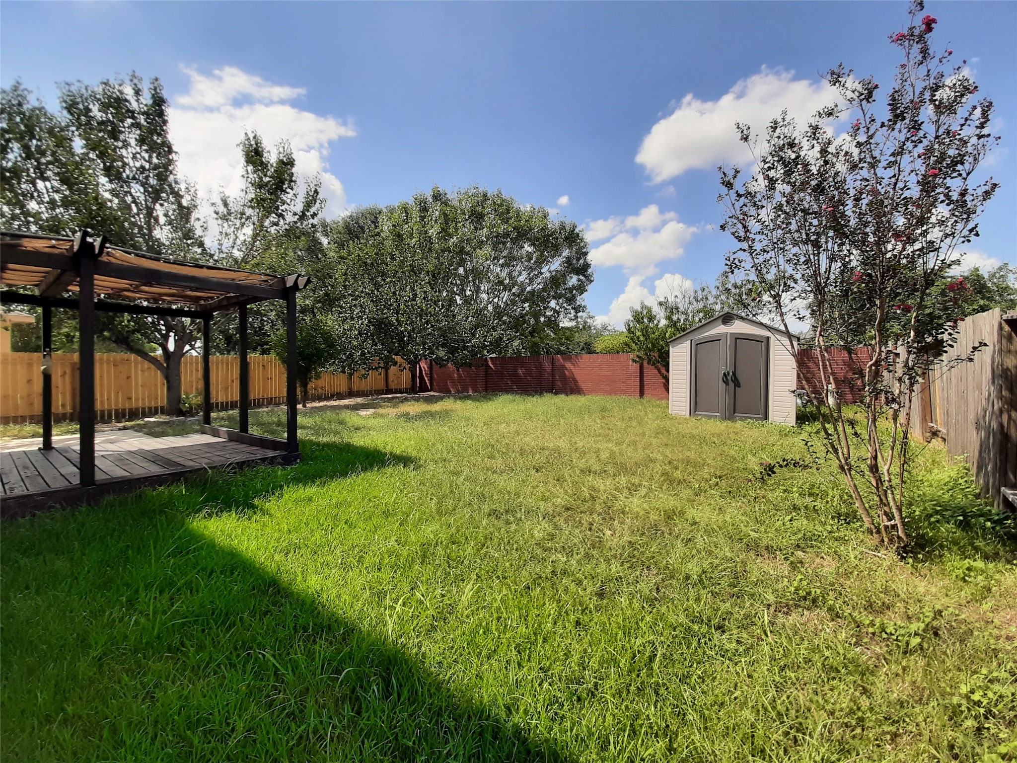 20526 Rustic Rail Court Cypress, TX 77433 - Photo 22 of 23 a view of backyard with tree