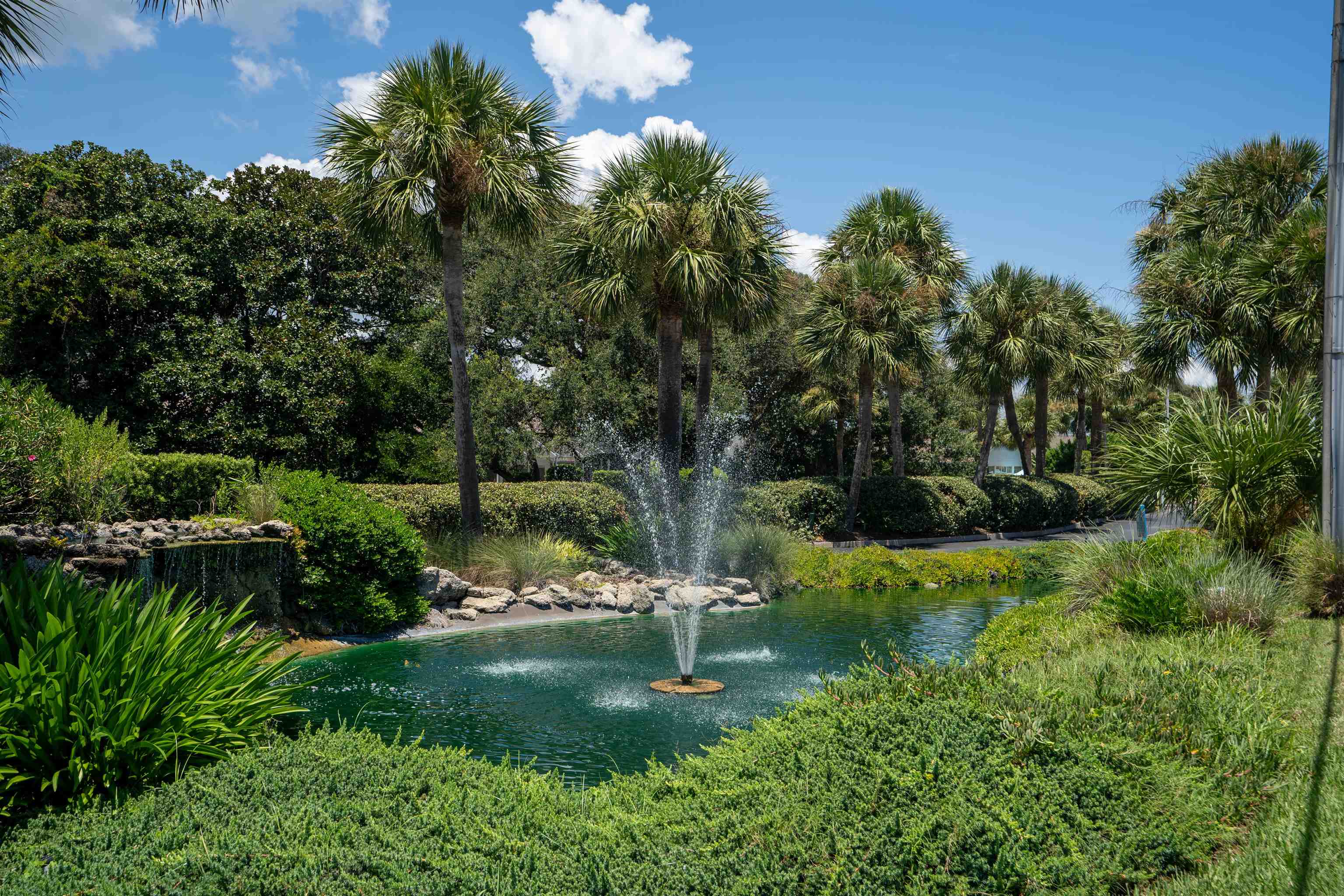362 Monika Place St. Augustine, FL 32080 - Photo 33 of 44 a view of a garden with a fountain