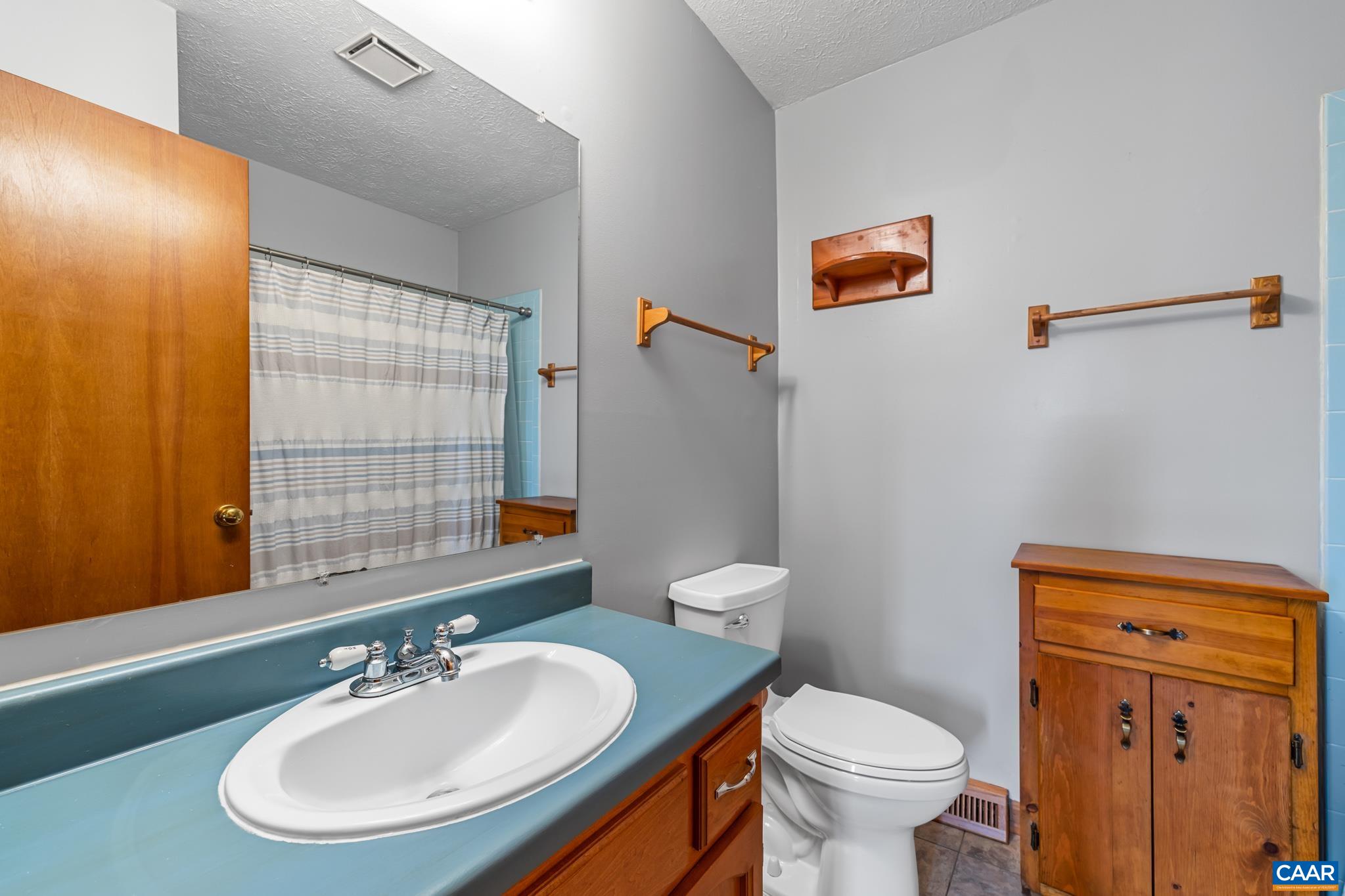 987 Matthew Mill Road Ruckersville, VA 22968 - Photo 19 of 63 a bathroom with a sink a mirror a toilet and a window