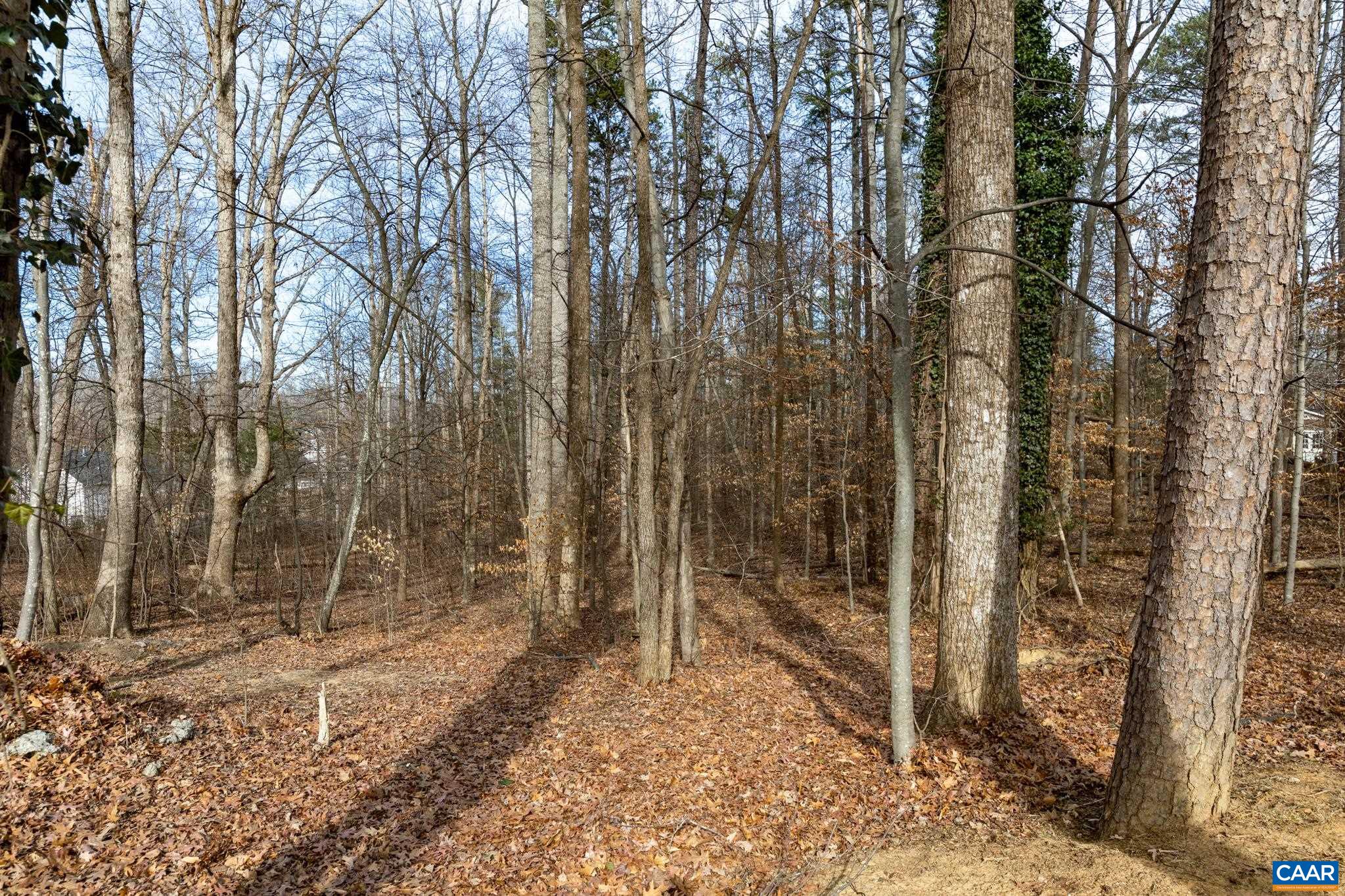 987 Matthew Mill Road Ruckersville, VA 22968 - Photo 54 of 63 a backyard of a house with lots of green space