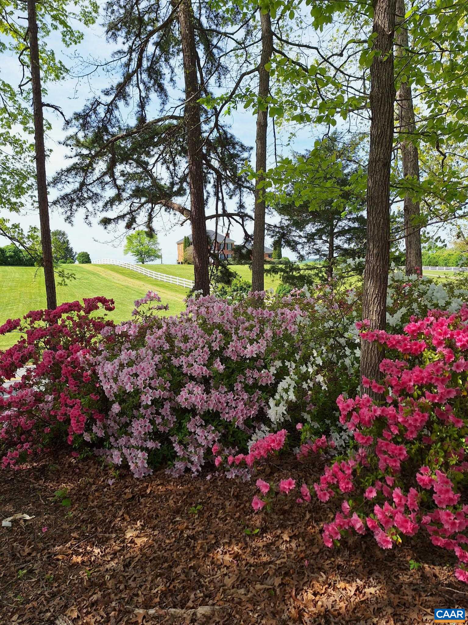 987 Matthew Mill Road Ruckersville, VA 22968 - Photo 9 of 63 a view of a garden with plants and trees
