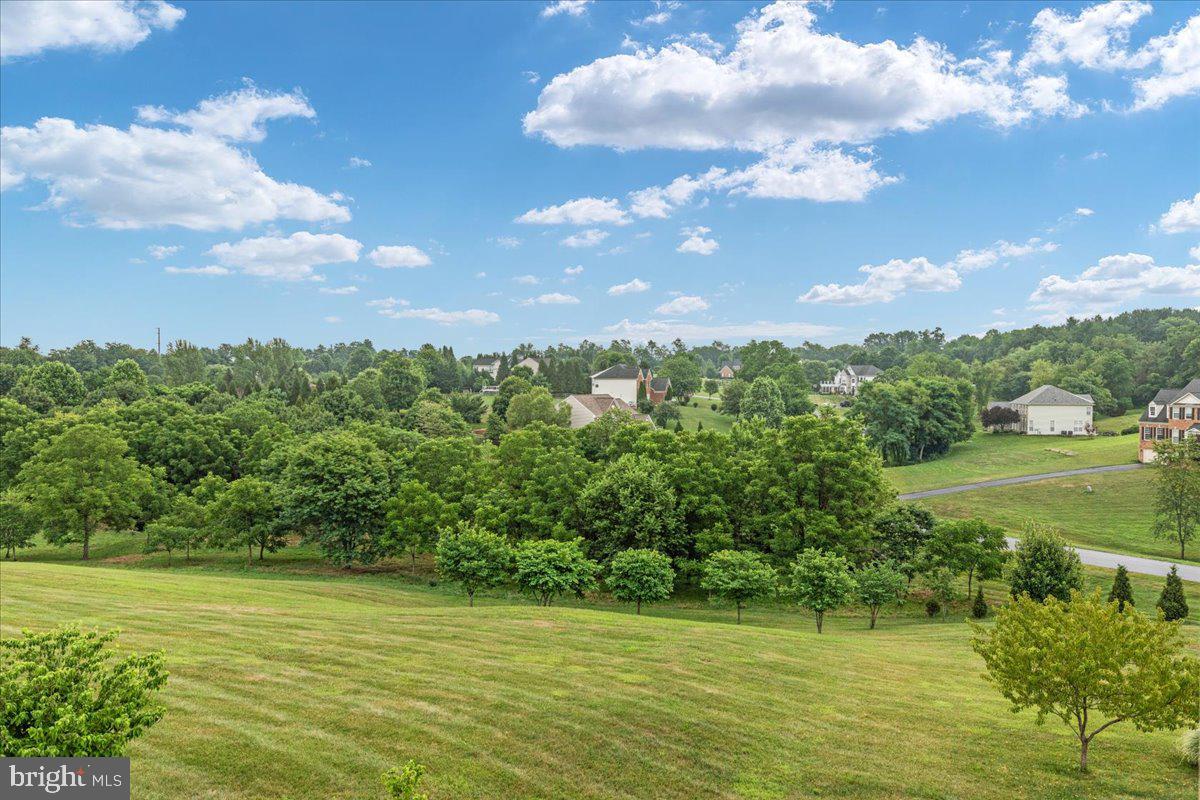 38786 Rambling Farm Drive Hamilton, VA 20158 - Photo 77 of 97