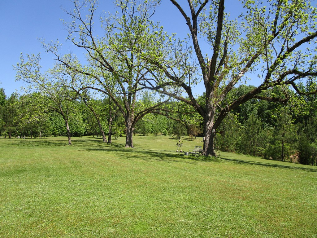 1059 Mount Silla Church Road Midway, AL 36053 - Photo 25 of 25 Gallery Image 25