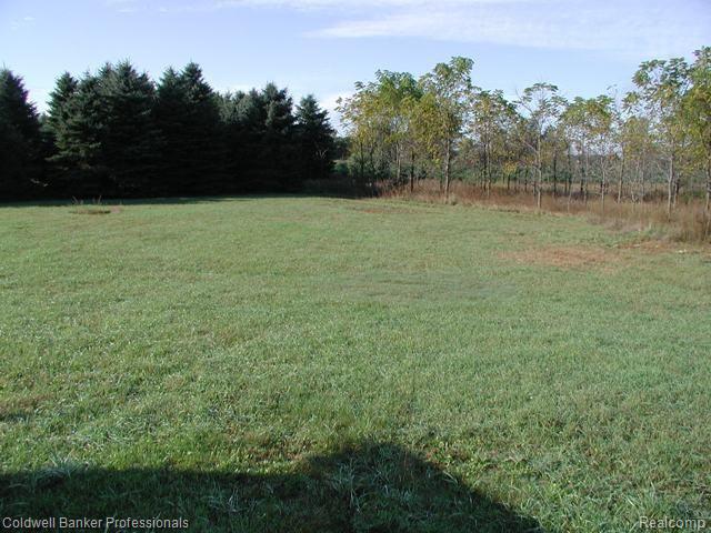 6041 Obrien Road Fostoria, MI 48435 - Photo 3 of 12 P9230030