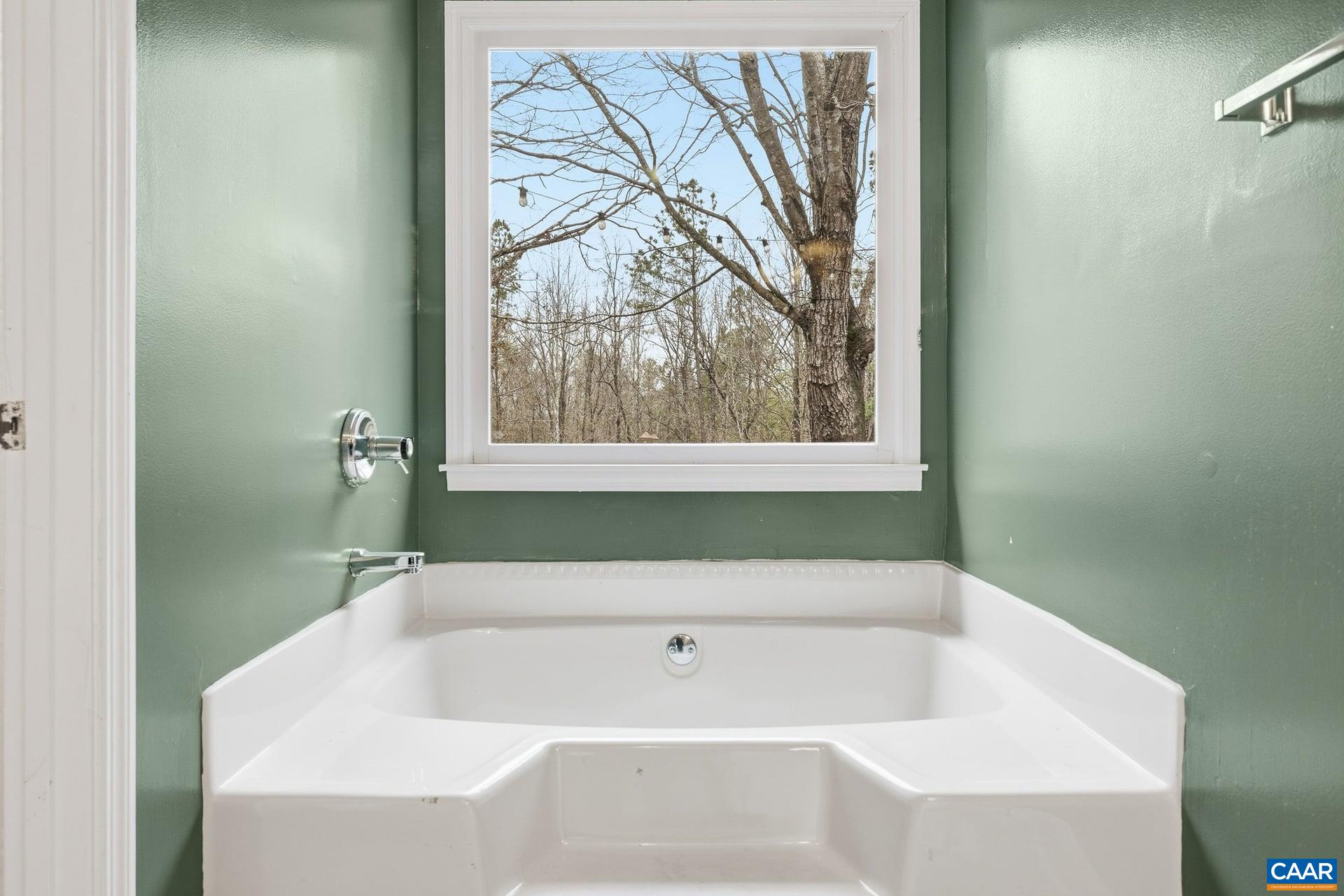 2325 Martin Kings Road Scottsville, VA 24590 - Photo 28 of 46