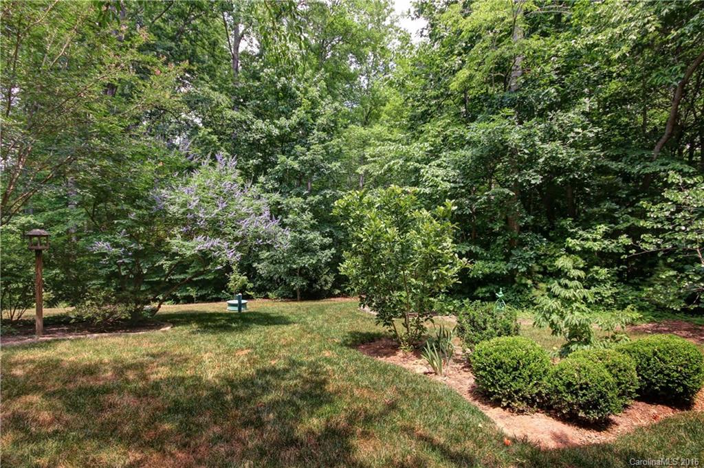 151 Rushing Water Lane Troutman, NC 28166 - Photo 22 of 24