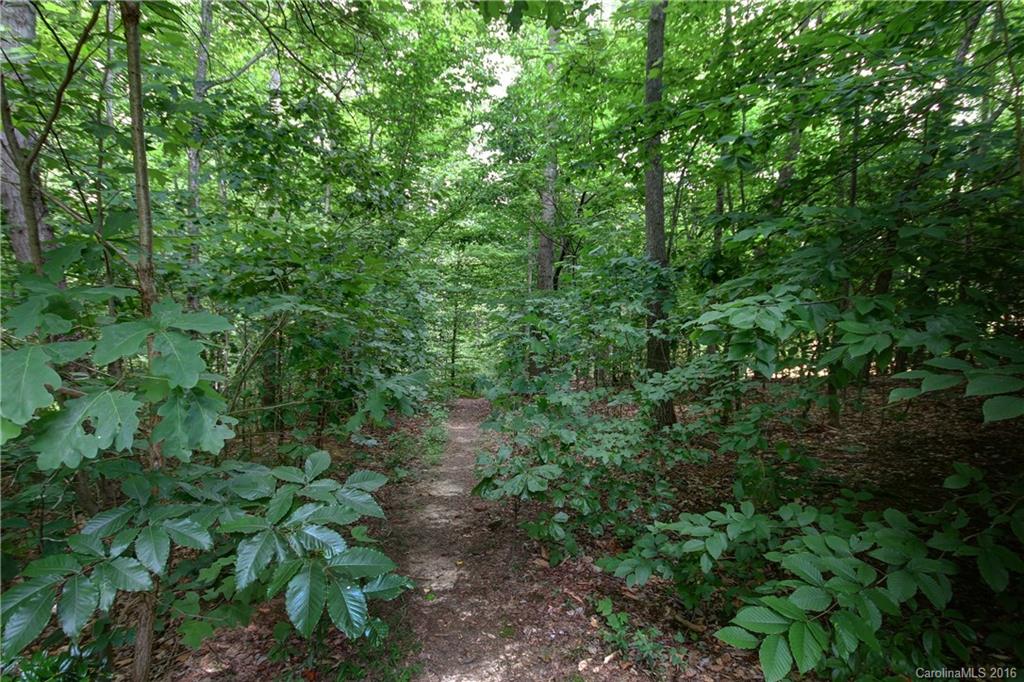 151 Rushing Water Lane Troutman, NC 28166 - Photo 23 of 24