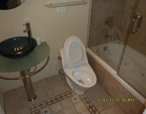 720 West Gordon Terrace, Unit 15L Chicago, IL 60613 - Photo 7 of 12 a bathroom with a toilet and a tub