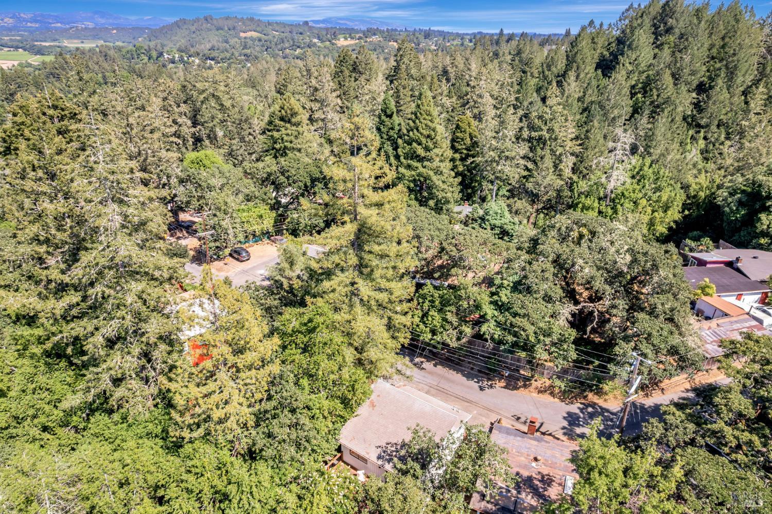 240 Vila Road Forestville, CA 95436 - Photo 32 of 38 Beautiful Forest Surroundings