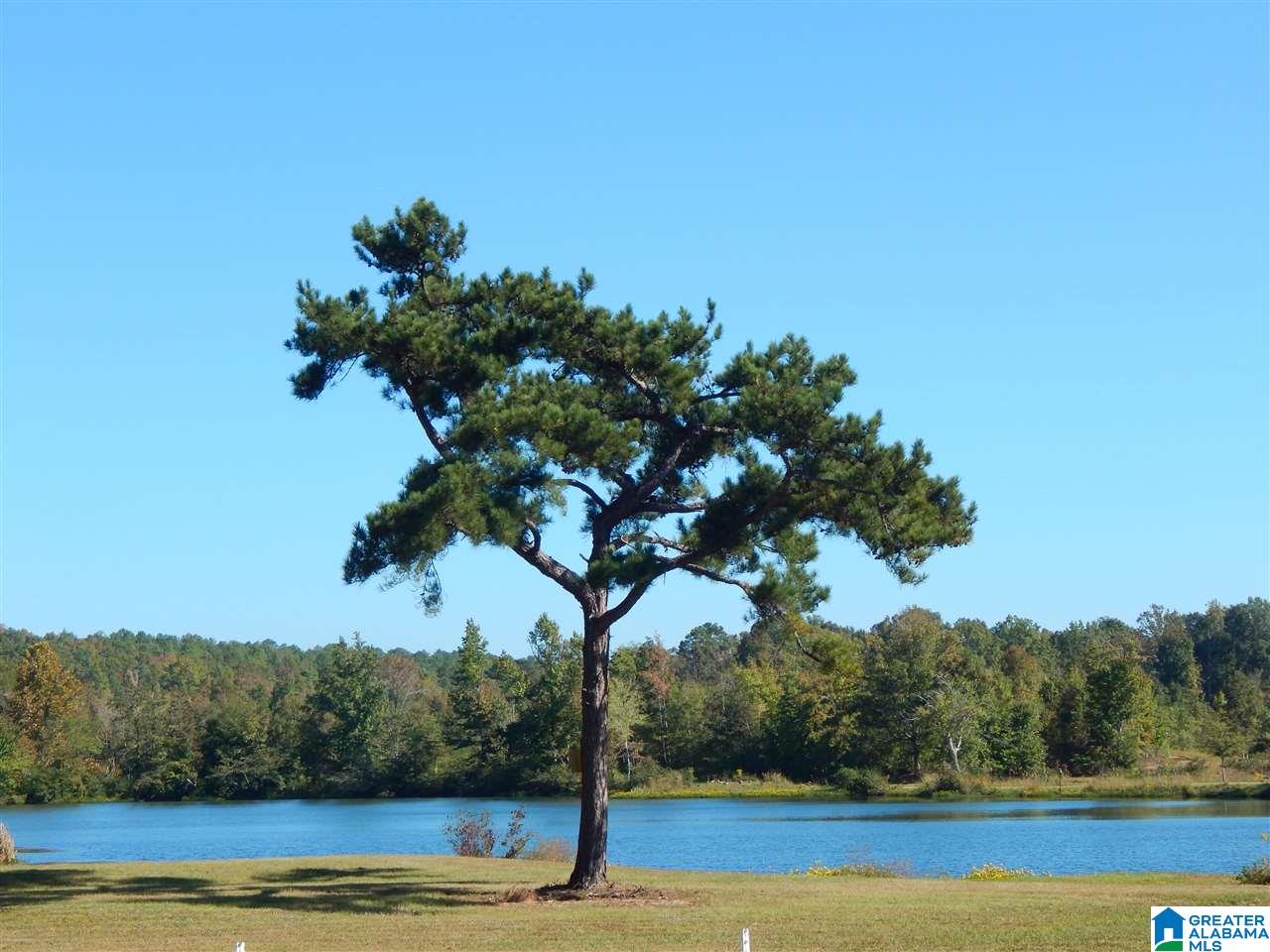144 Waters View, Unit 144 Quinton, AL 35130 - Photo 8 of 9