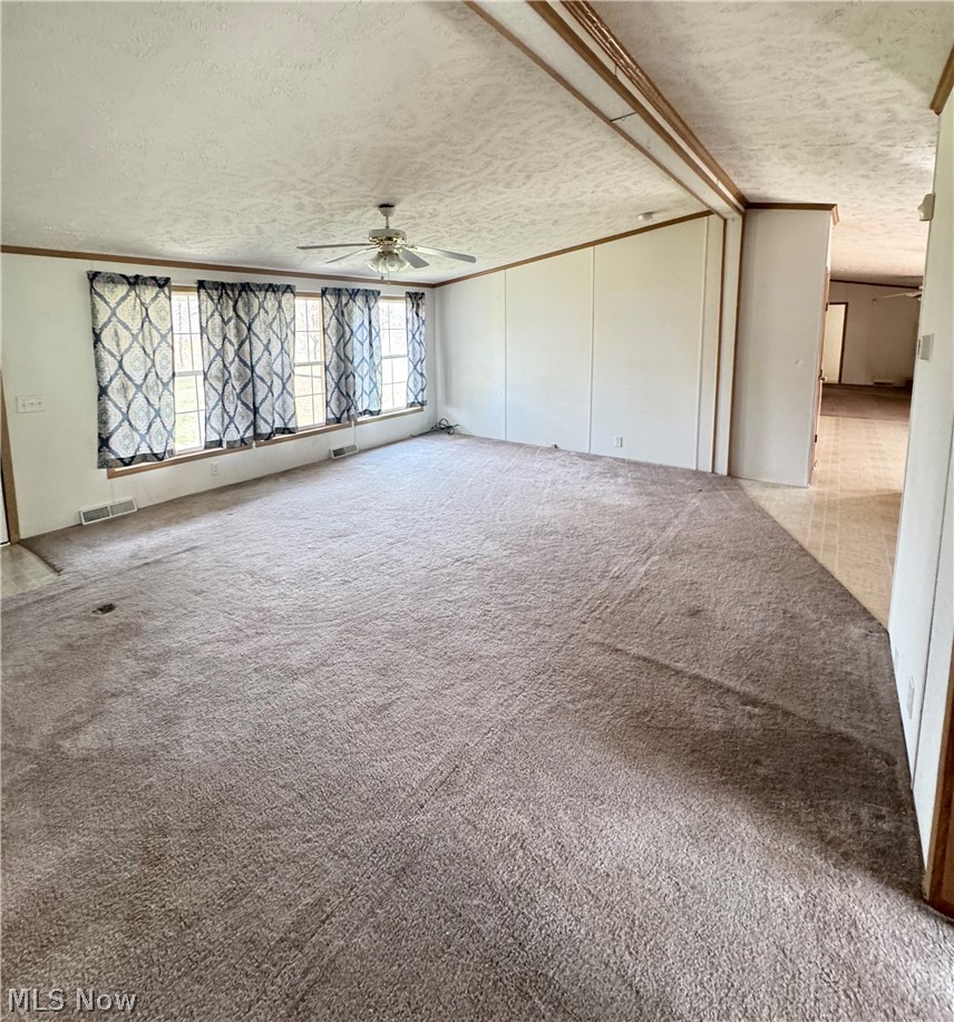 28240 Osborne Road Coolville, OH 45723 - Photo 16 of 29 Unfurnished living room with light carpet, ceiling fan, a textured ceiling, and ornamental molding