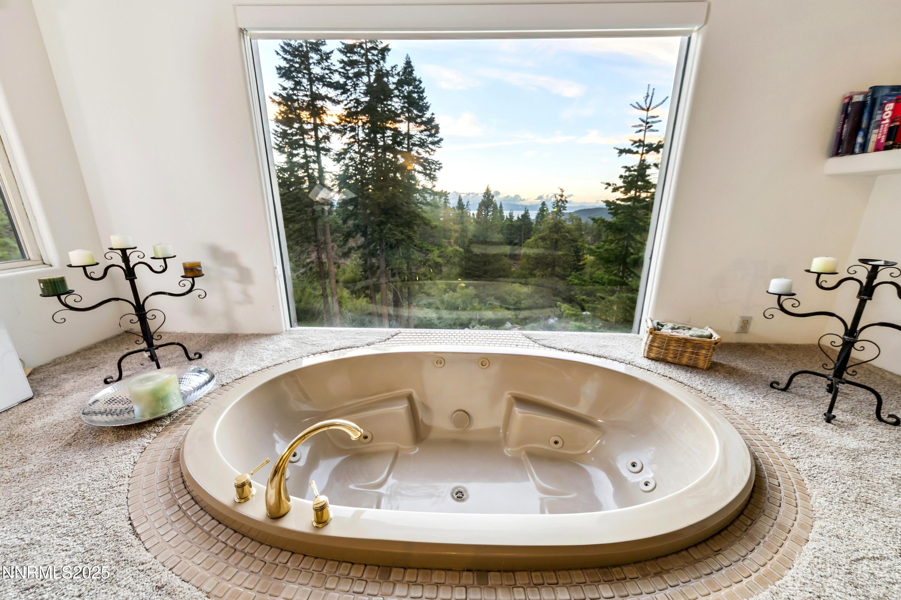 130 Granite Crest Drive Stateline, NV 89449 - Photo 46 of 85 a43