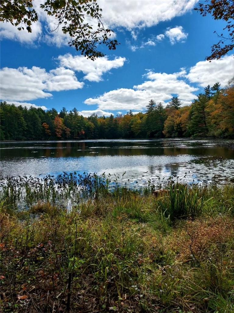 31 County Route Glen Spey, NY 12737 - Photo 1 of 1