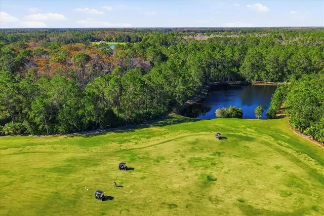 an aerial view of residential houses with outdoor space and trees