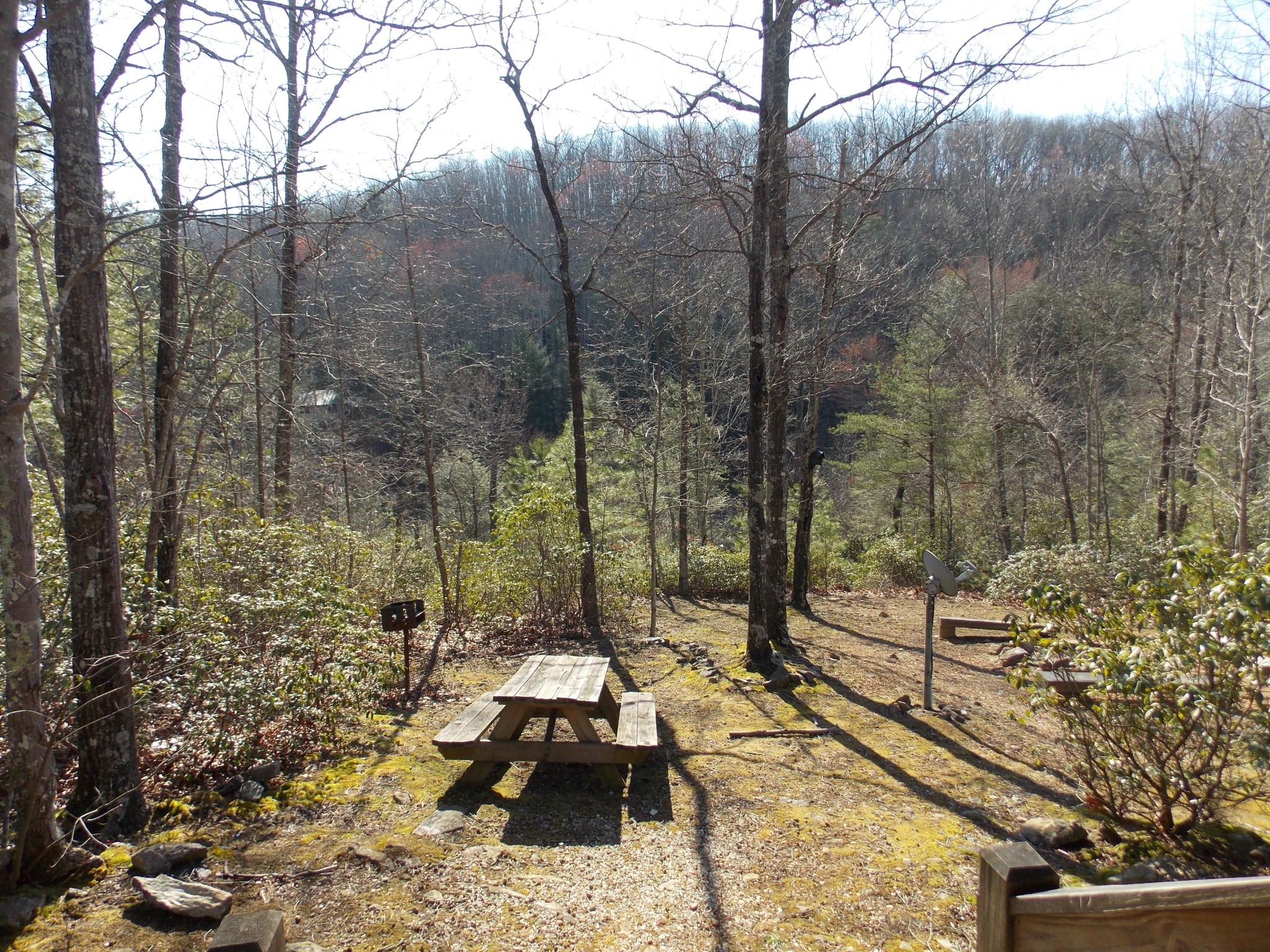 220 Smithfield Road Tellico Plains, TN 37385 - Photo 10 of 18 Gallery Image 10