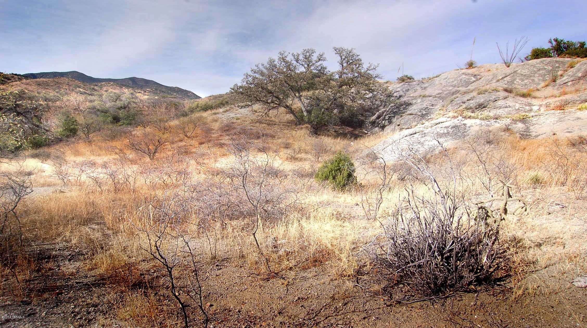 Canyon Road Patagonia, AZ 85624 - Photo 29 of 34