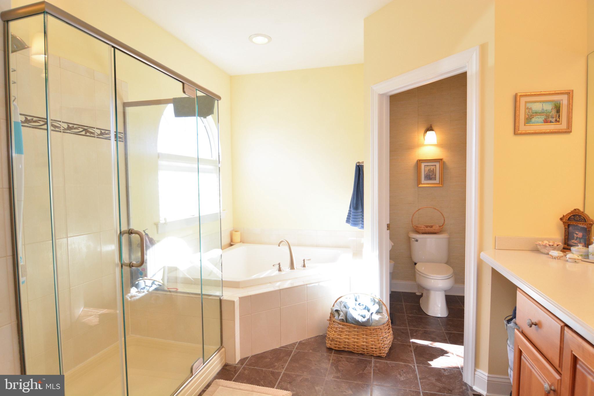 249 Wicker Berry Drive Middletown, DE 19709 - Photo 13 of 22