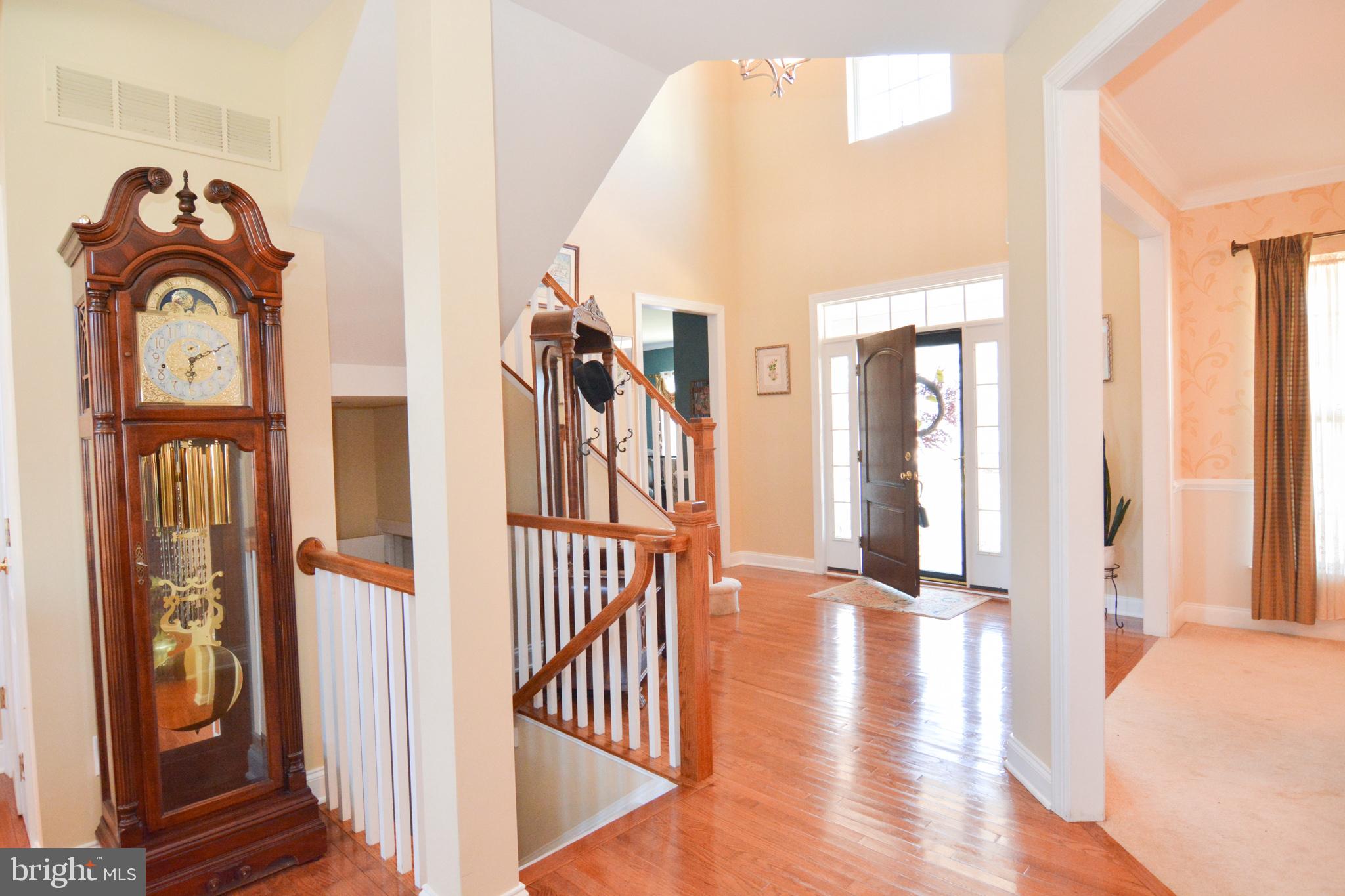 249 Wicker Berry Drive Middletown, DE 19709 - Photo 3 of 22 Foyer