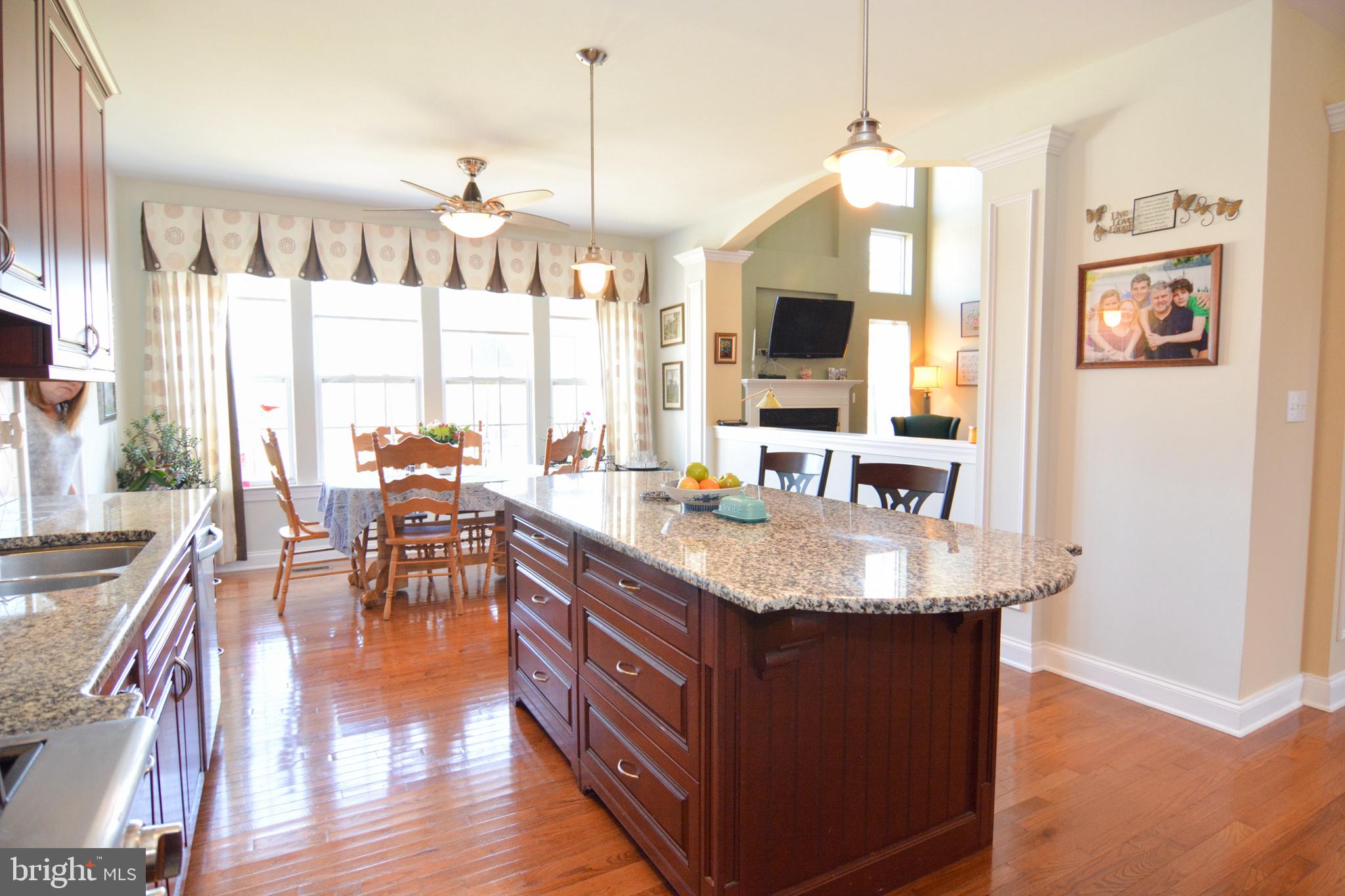 249 Wicker Berry Drive Middletown, DE 19709 - Photo 8 of 22 Eat In Kitchen