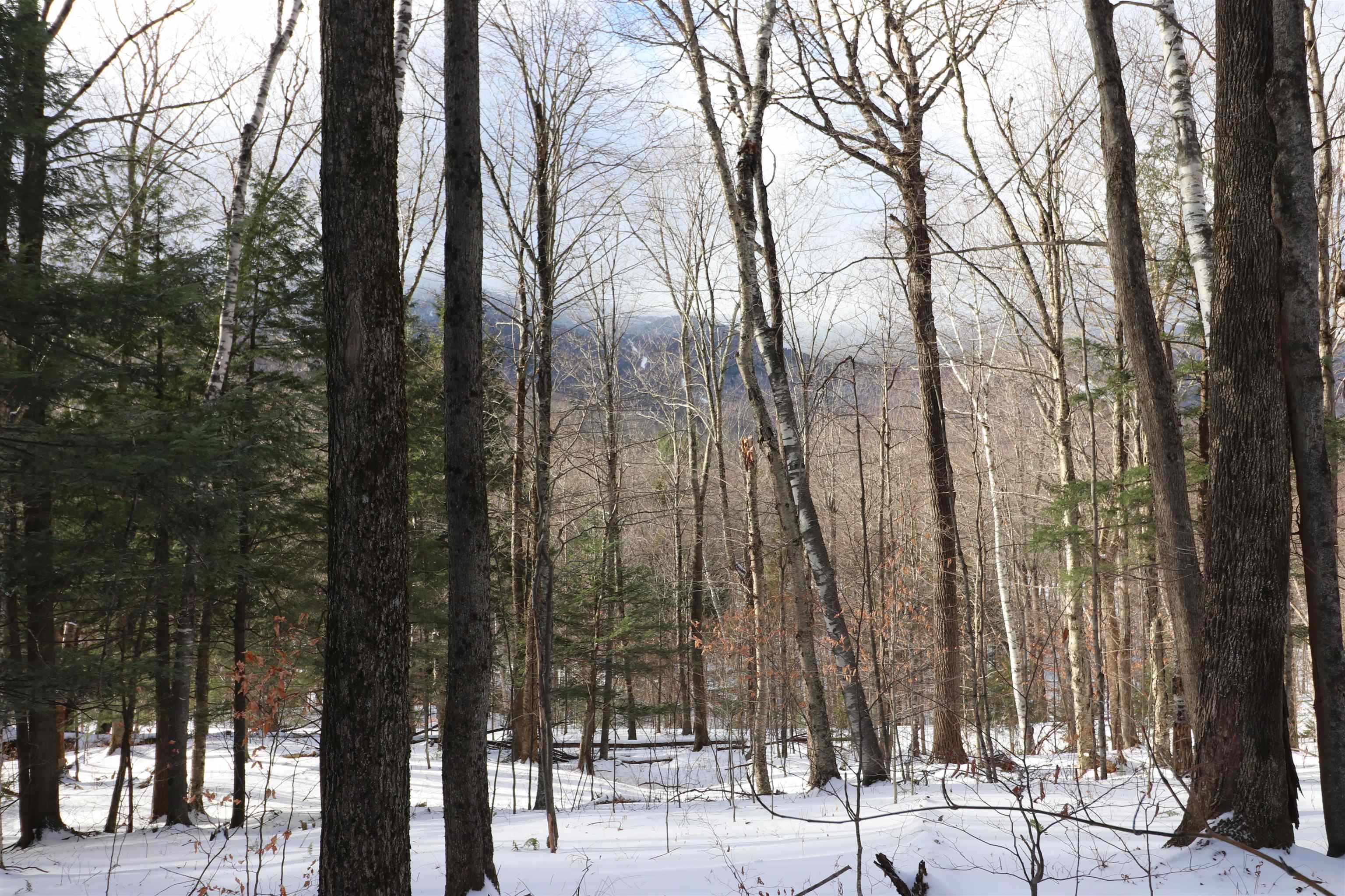 75 Maple Ridge Road, Unit B Fayston, VT 05673 - Photo 11 of 19 Gallery Image 11