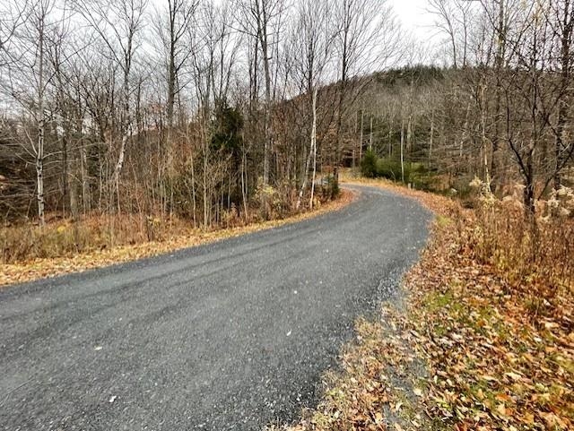 75 Maple Ridge Road, Unit B Fayston, VT 05673 - Photo 18 of 19 Gallery Image 18
