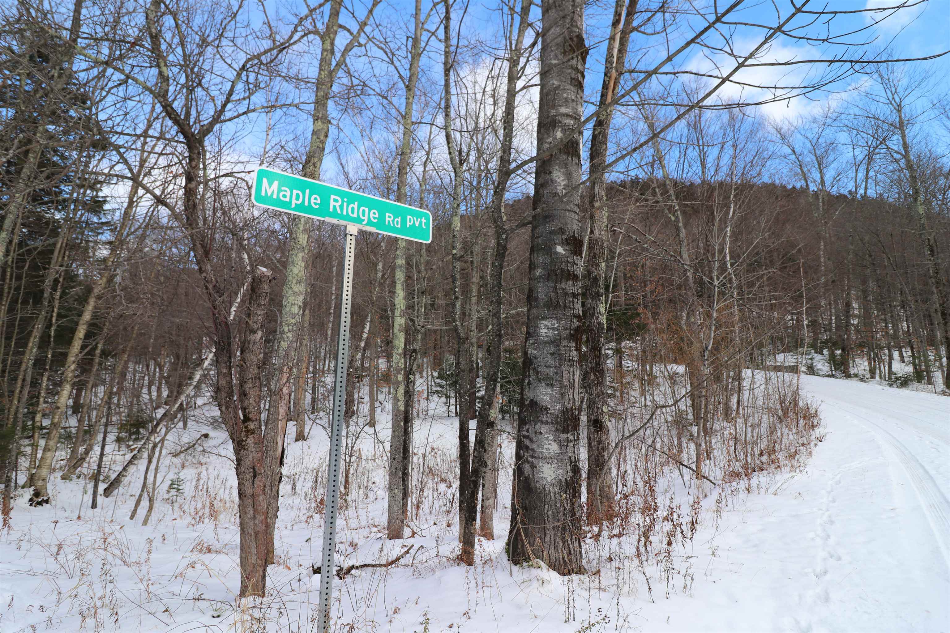 75 Maple Ridge Road, Unit B Fayston, VT 05673 - Photo 4 of 19 Gallery Image 4